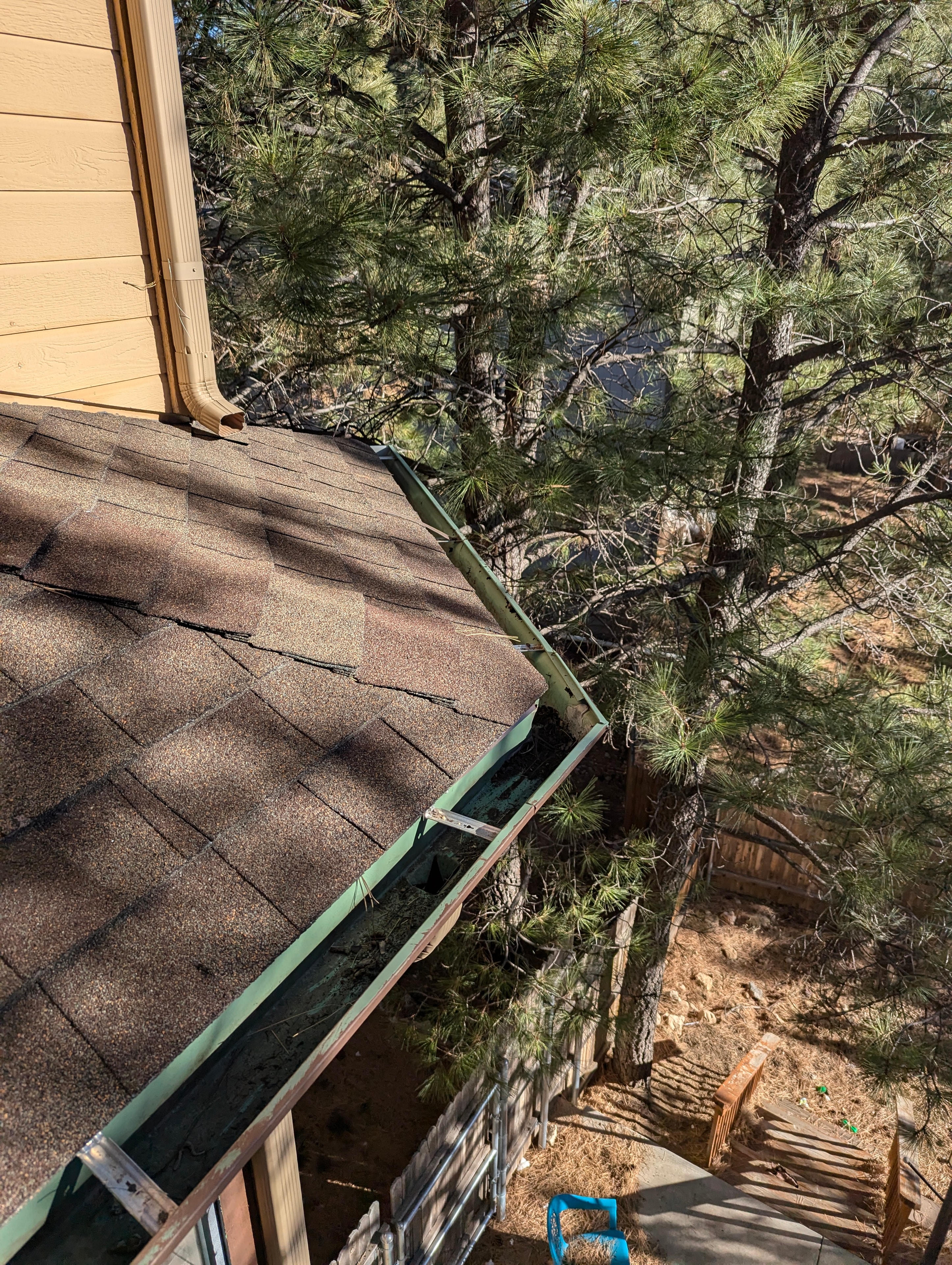 Aerial view of gutter cleaning on a shingle roof in Flagstaff, AZ with ponderosa pine needles and debris visible in gutters and pine forest below