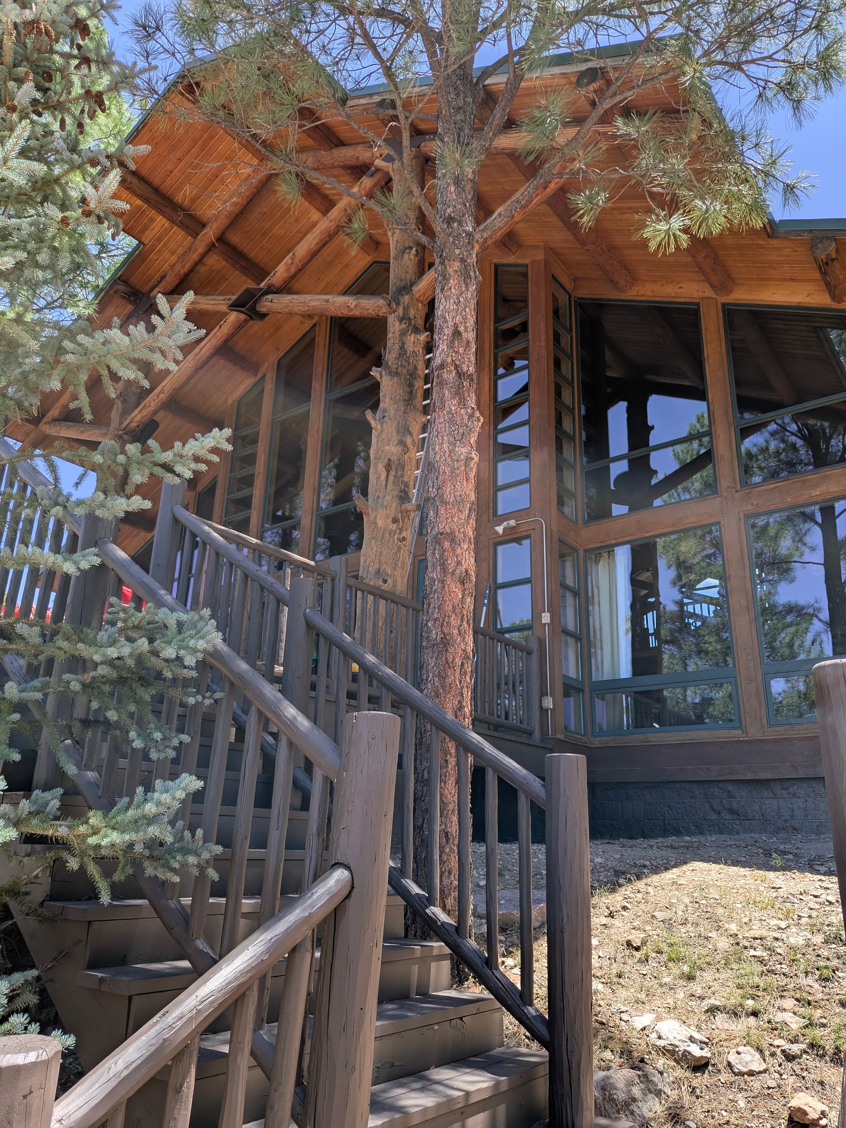 Rustic log cabin exterior in Flagstaff, AZ with large multi-pane windows surrounded by ponderosa pine trees and wooden staircase