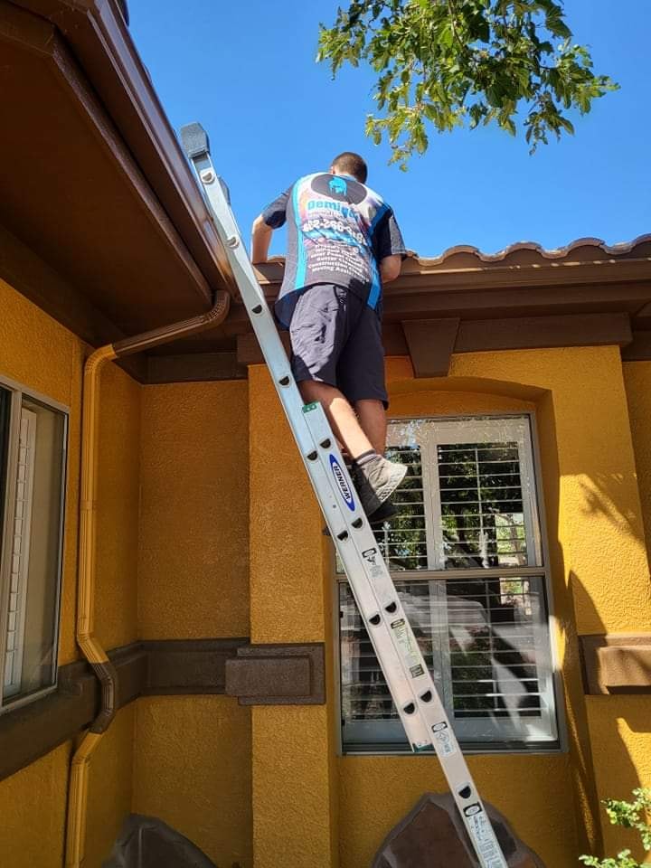 Gutter Cleaning