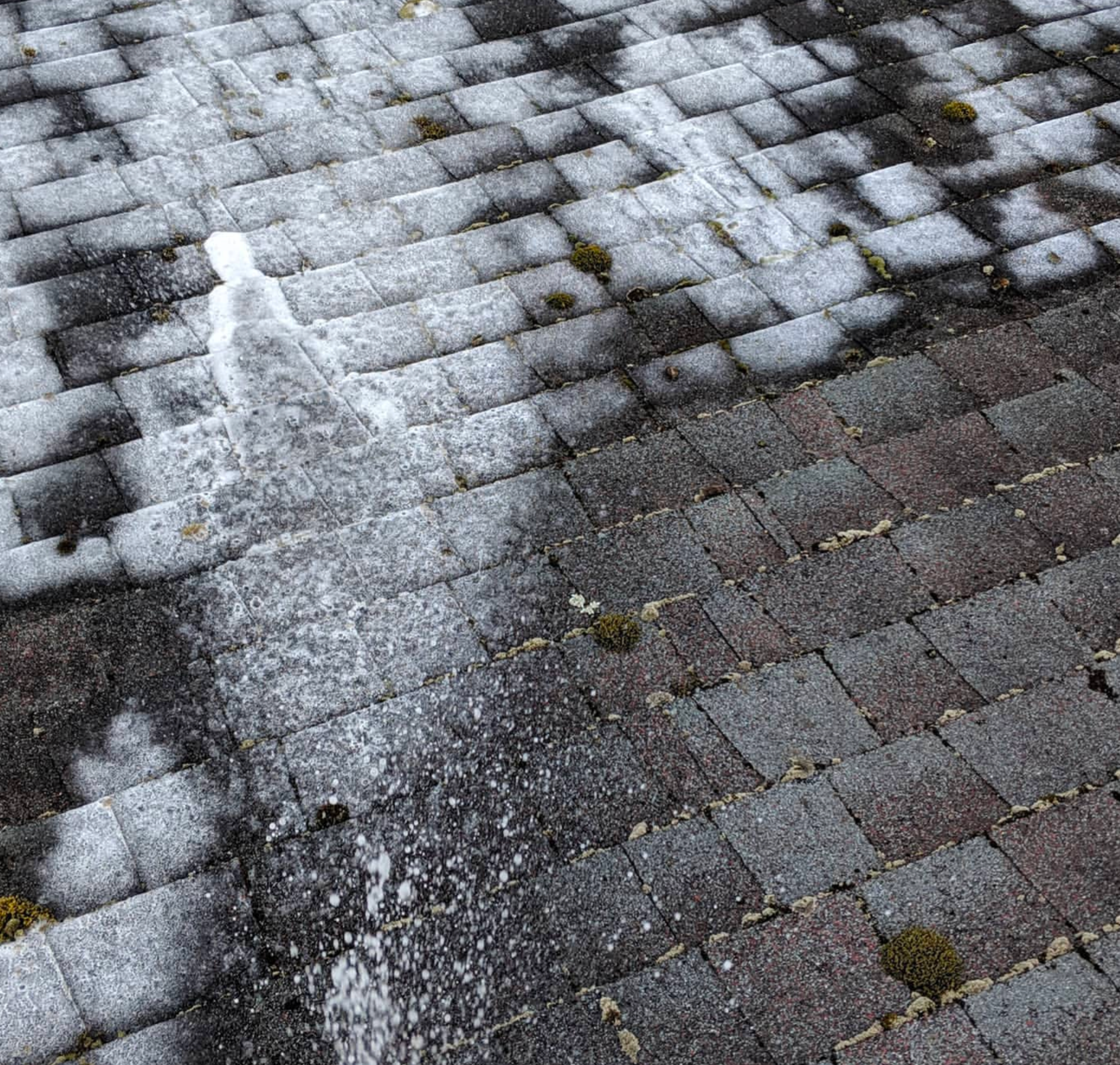 Roof & Soft Washing